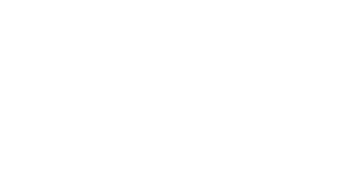 Young Democrats of North Carolina logo; the letters YDNC written out with a graphic of a cardinal perched on top of the C
